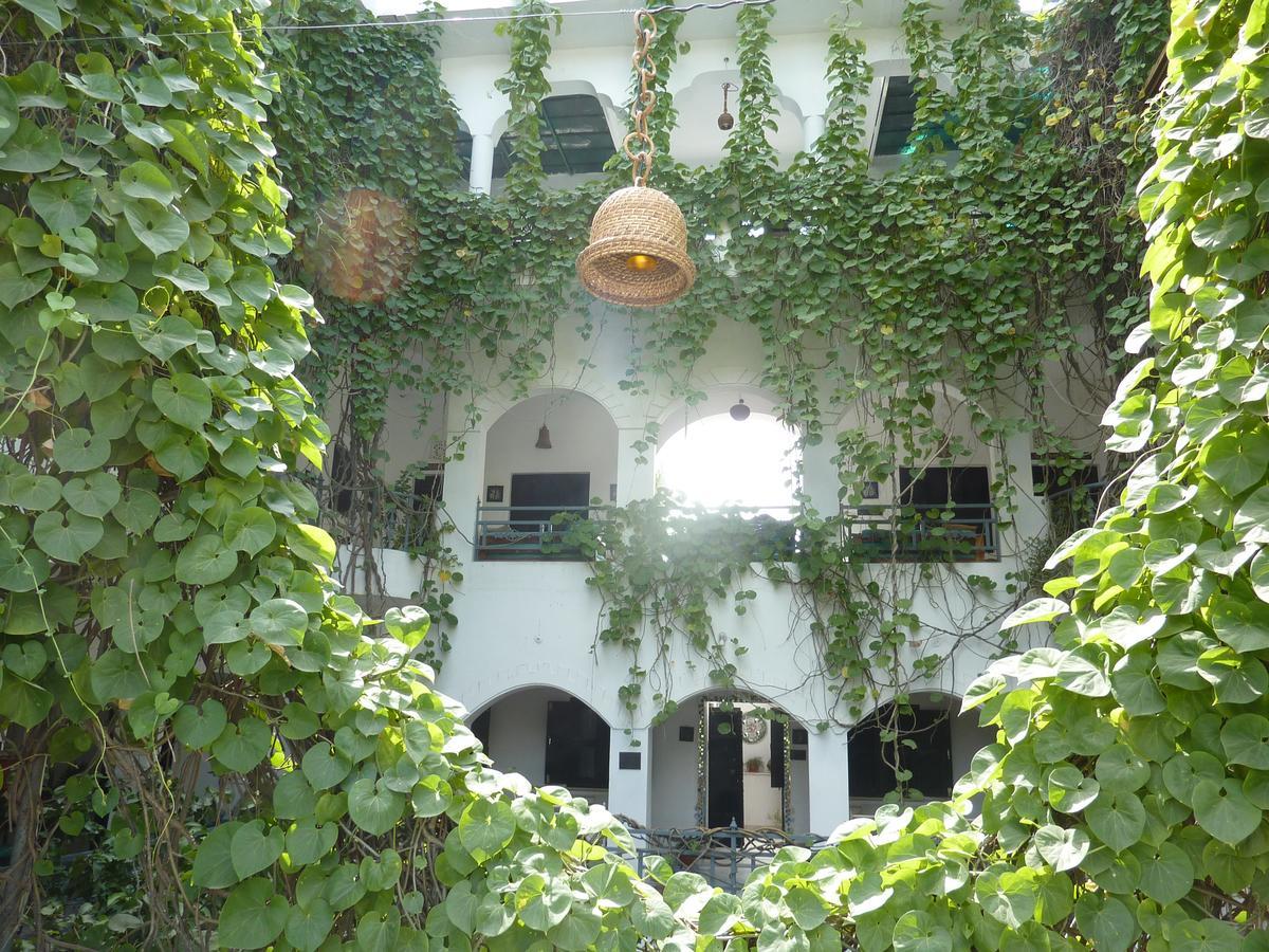 Inn Seventh Heaven Pushkar Exterior foto